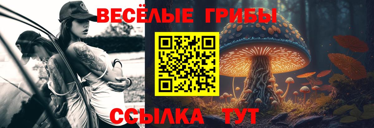 Коммунар  Псилоцибиновые грибы ЛСД  Галлюциногенные грибы Cubensis  Вход с VPN 